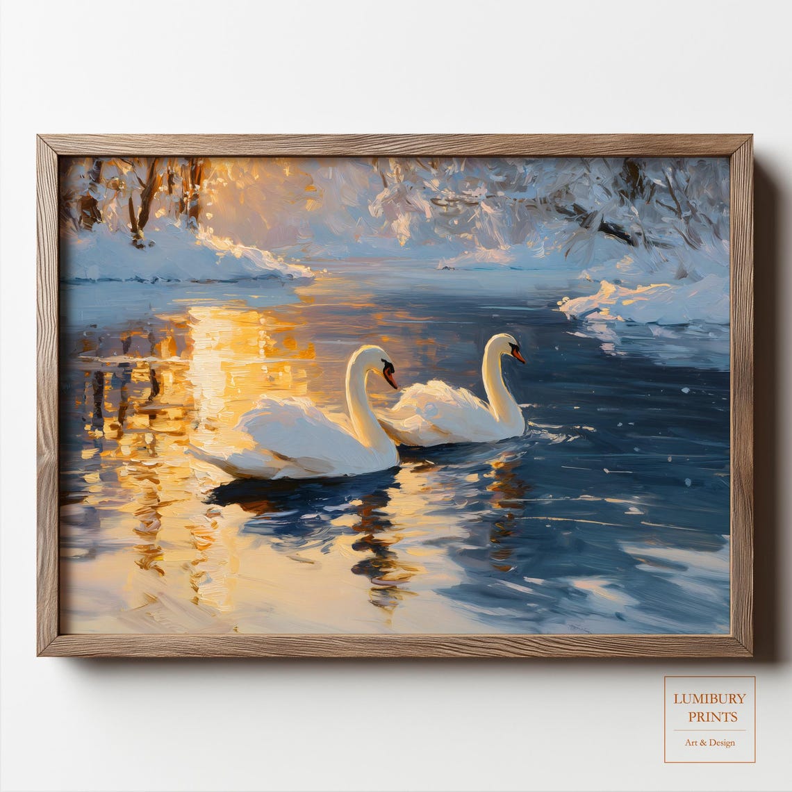 Two White Swans Snowy Lake Sunset Golden Reflections Wildlife Wall Art