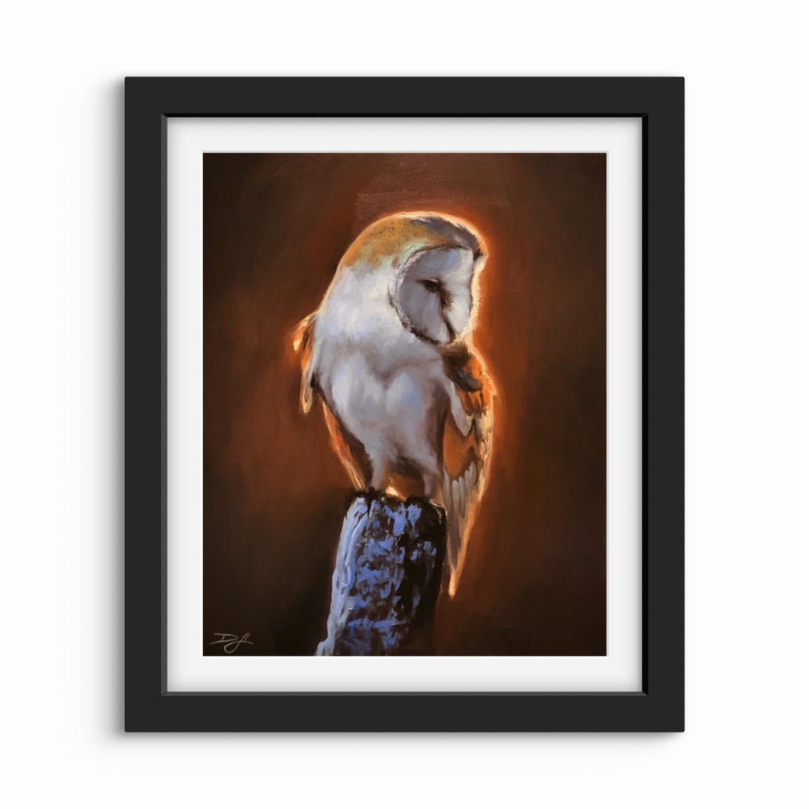 Beauty Of Wisdom Print Owl Barn Owl Print Own Portrait Wild Animal Print Nature And Animals Wildlife Artwork Bird Portrait