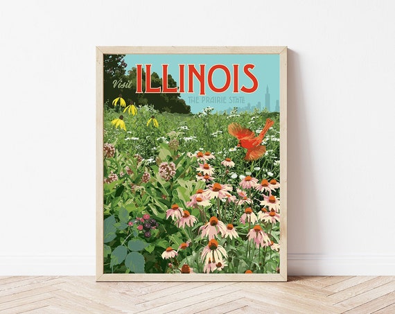Illinois Prairie State Wildflower Vintage Travel Poster