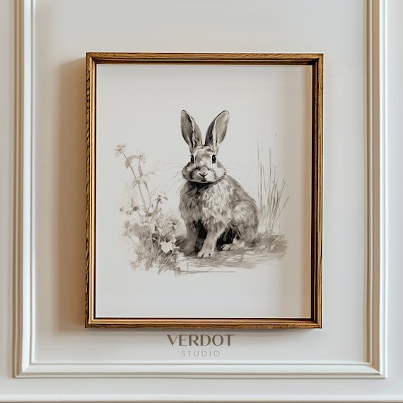 Vintage Easter Bunny - Antique Sketch